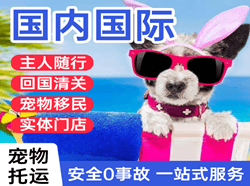 吕梁机场物流国际宠物托运 【国